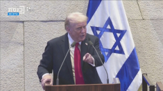 Trump chiede al presidente della Repubblica di Israele la grazia per Netanyahu