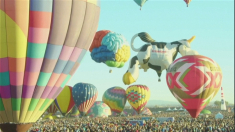 Mongolfiere colorano il cielo del New Mexico durante il festival