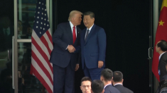 Trump e Xi si salutano tra strette di mano e sussurri