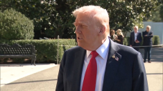 Trump manda i militari a Portland e Chicago nonostante il divieto della magistratura