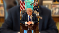 Trump: «ho salvato TikTok»