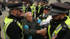 Arrestati manifestanti pro-pal dalla polizia londinese