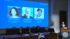 Nobel per la Medicina 2025 a Brunkow, Ramsdell e Sakaguchi