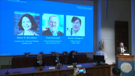 Nobel per la Medicina 2025 a Brunkow, Ramsdell e Sakaguchi
