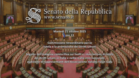 Seguito dell’indagine conoscitiva sui livelli e i meccanismi di tutela dei diritti umani