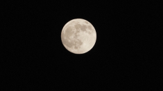 Una spettacolare superluna illumina i cieli di Taipei