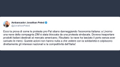 Ambasciatore di Israele a Roma: le proteste “pro-Pal” danneggiano l’economia italiana