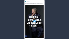 Bonelli: bene la tregua a Gaza