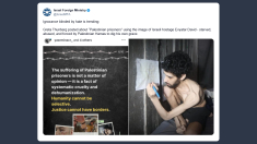 Ministero Esteri israeliano su Thunberg: «l’ignoranza accecata dall’odio è di moda»