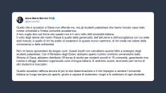 Bernini su offese dai Pro Pal: «non mi lascio spaventare da slogan vuoti»