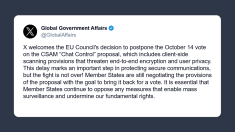 X accoglie con favore la decisione dell’Ue di rinviare il voto del 14 ottobre
