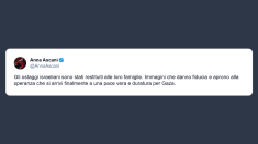 Ascani: speranza pace vera e duratura per Gaza