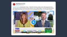 Ambasciatore Usa: la Cina ha galvanizzato l’industria privata statunitense