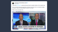 Ambasciatore Israele: non permetteremo agli jihadisti di ricostruire le loro basi al confine