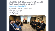 Il presidente egiziano Abdel Fattah El-Sisi incontra l’alto rappresentante dell’Ue per gli Affari Esteri