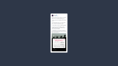 Portavoce della Jihad Islamica Palestinese: non deporremo le armi