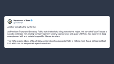 Ministero Esteri Usa: un’altra sentenza corrotta della Corte Internazionale di Giustizia che attacca ingiustamente Israele