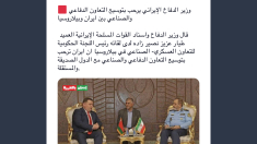 Il ministro della Difesa iraniano positivo sul rafforzamento della cooperazione militare con la Bielorussia