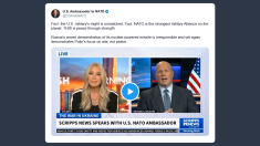 Ambasciatore Usa: Nato è la più forte alleanza militare al mondo