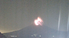 Erutta il vulcano Sakurajima in Giappone, decine di voli annullati