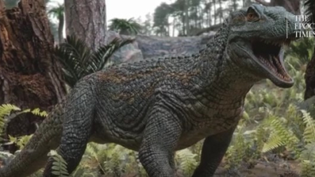 Scoperto in Brasile un fossile di rettile di 240 milioni di anni: fa luce sulle origini dei coccodrilli