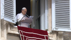 Papa Leone chiede la pace in Ucraina