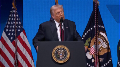 Trump definisce il sindaco-eletto Mamdani un «comunista»