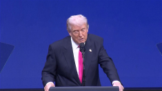 Trump critica duramente il presidente della Fed Powell e parla di licenziamento