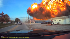 Dash cam mostra il momento in cui un aereo Ups si schianta in Kentucky