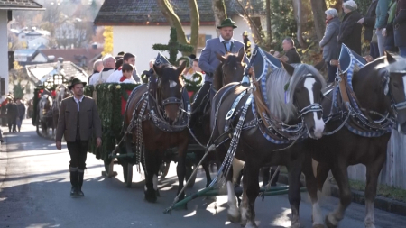 Cavalli benedetti alla processione di San Leonhard in Baviera