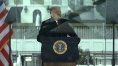 La frase originale di Trump del 6 gennaio che ha portato alle dimissioni dei vertici della Bbc