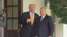 Trump approva: Orbán potrà comprare il petrolio russo