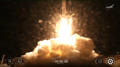 Il lancio del satellite Sentinel-6B grazie a un razzo SpaceX