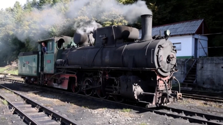 Le ultime locomotive a vapore in Europa sono in Bosnia