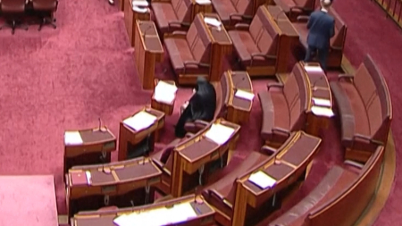 Senatrice australiana si presenta in burqa in Parlamento e scoppia il putiferio