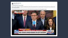 Johnson: il Partito democratico è in guerra con se stesso