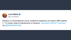 Malan su Zambon in commissione Covid