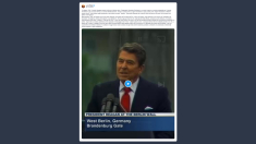 Malan sulla caduta del muro di Berlino