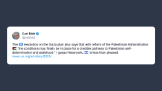 Bildt: con la riforma dell’Amministrazione palestinese possibile la strada verso lo Stato