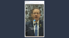 Herzog sul piano di Trump per Gaza