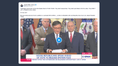 Johnson su Epstein: democratici non hanno pubblicato i dossier per quattro anni