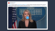 Leavitt: da un mese Rubio e gli inviati per la pace lavorano a un piano riservato per l’Ucraina