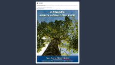 Pellegrino: basta abbattimenti di alberi a Roma