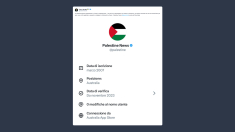 Vernetti: la disinformazione palestinese su Gaza è imbarazzante