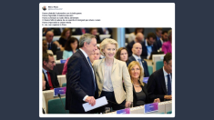 Rizzo: hanno distrutto l’automotive con la balla green