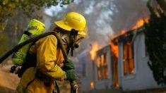 Sette pompieri su dieci muoiono di cancro