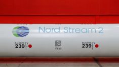 I Carabinieri arrestano a Misano Adriatico l’indiziato dell’attentato ai gasdotti Nord Stream