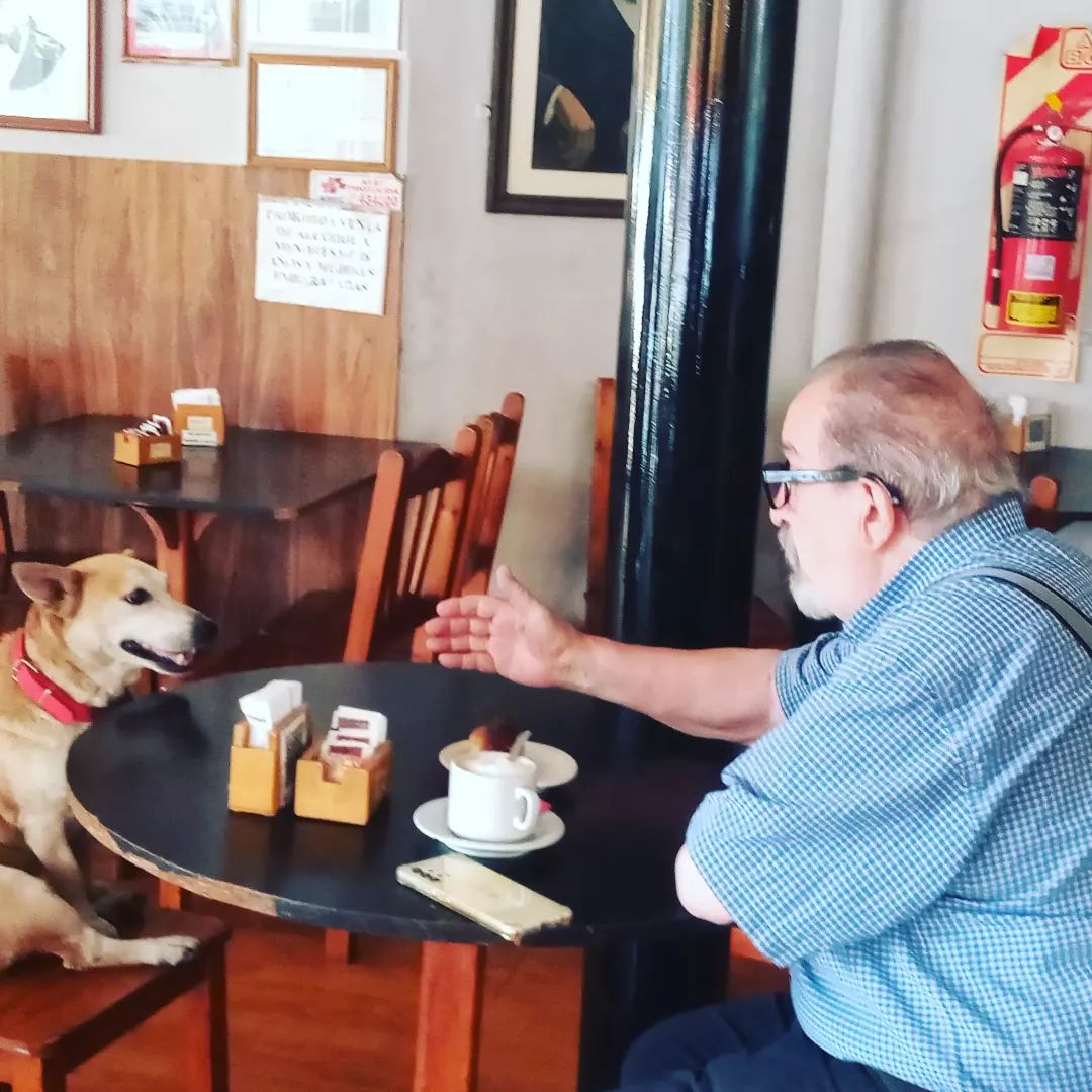 cane al bar