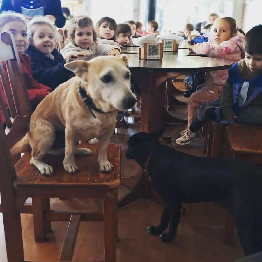 Corchito al bar